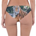 Animal Big Cat Safari Tiger Reversible Hipster Bikini Bottoms View2