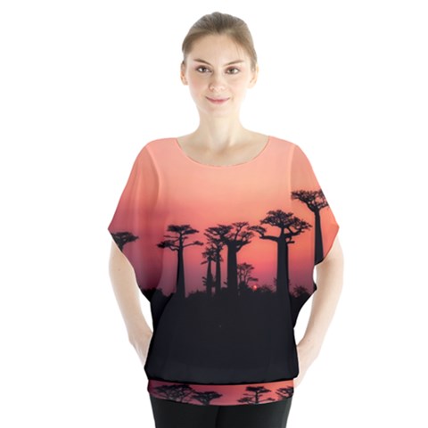 Baobabs Trees Silhouette Landscape Blouse by BangZart