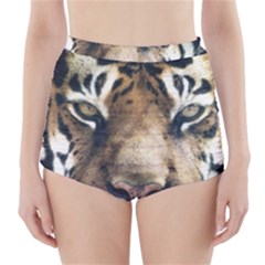 Tiger Bengal Stripes Eyes Close High-waisted Bikini Bottoms by BangZart