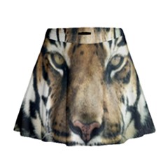 Tiger Bengal Stripes Eyes Close Mini Flare Skirt by BangZart