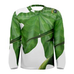 Plant Berry Leaves Green Flower Men s Long Sleeve Tee by BangZart