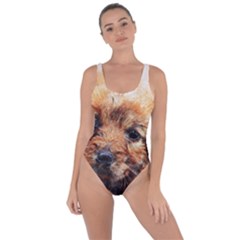 Dog Puppy Animal Art Abstract Bring Sexy Back Swimsuit by Celenk