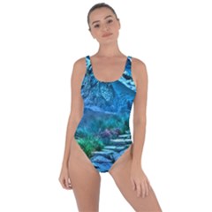 Pathway Nature Landscape Outdoor Bring Sexy Back Swimsuit by Celenk