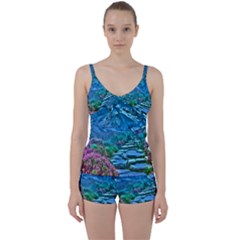 Pathway Nature Landscape Outdoor Tie Front Two Piece Tankini by Celenk