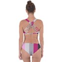 Laura Lines Criss Cross Bikini Set View2