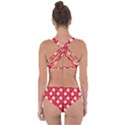 Daisy Dots Red Criss Cross Bikini Set View2