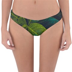 Green Plant Leaf Foliage Nature Reversible Hipster Bikini Bottoms by Nexatart