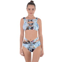 Tiger Animal Art Swirl Decorative Bandaged Up Bikini Set  by Nexatart