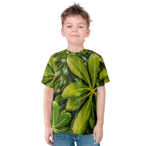 Top View Leaves Kids  Cotton Tee by dflcprints