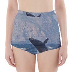 Humpback 1 High-waisted Bikini Bottoms by trendistuff