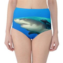 Lemon Shark High-waist Bikini Bottoms by trendistuff