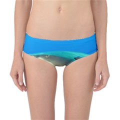Lemon Shark Classic Bikini Bottoms by trendistuff