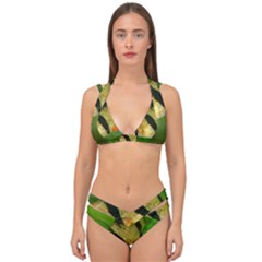 Tiger Barb Double Strap Halter Bikini Set by trendistuff