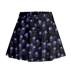 Blueberries 4 Mini Flare Skirt by trendistuff