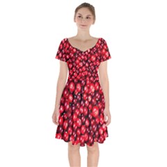 Cranberries 2 Short Sleeve Bardot Dress by trendistuff