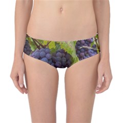 Grapes 4 Classic Bikini Bottoms by trendistuff