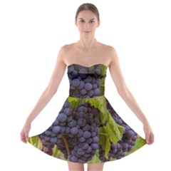 Grapes 4 Strapless Bra Top Dress by trendistuff