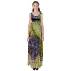 Grapes 4 Empire Waist Maxi Dress by trendistuff