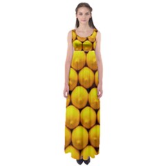 Lemons 1 Empire Waist Maxi Dress by trendistuff