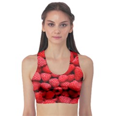 Raspberries 2 Sports Bra by trendistuff