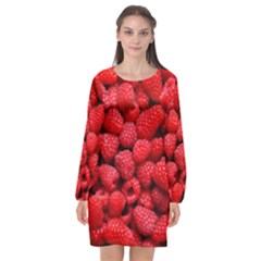 Raspberries 2 Long Sleeve Chiffon Shift Dress  by trendistuff