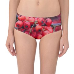 Red Berries 1 Mid-waist Bikini Bottoms by trendistuff