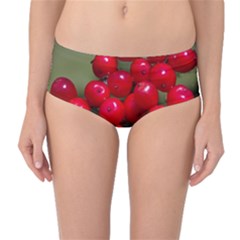 Red Berries 2 Mid-waist Bikini Bottoms by trendistuff