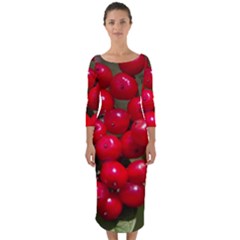 Red Berries 2 Quarter Sleeve Midi Bodycon Dress by trendistuff