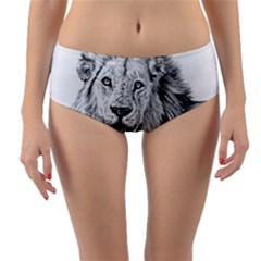 Lion Wildlife Art And Illustration Pencil Reversible Mid-waist Bikini Bottoms by Nexatart
