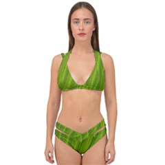 Green Leaf Pattern Plant Double Strap Halter Bikini Set by Sapixe