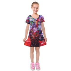 Gift From Africa And Rhino Kids  Short Sleeve Velvet Dress by bestdesignintheworld