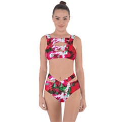 Dscf1703 - Creation Of Japan Bandaged Up Bikini Set  by bestdesignintheworld