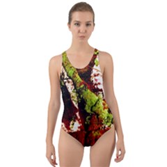 Collosium   Swards And Helmets 4 Cut-out Back One Piece Swimsuit