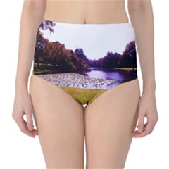 Highland Park 7 High-waist Bikini Bottoms by bestdesignintheworld
