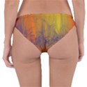 Fiesta Colorful Background Reversible Hipster Bikini Bottoms View4