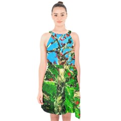 Coral Tree 2 Halter Collar Waist Tie Chiffon Dress by bestdesignintheworld
