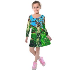 Coral Tree 2 Kids  Long Sleeve Velvet Dress by bestdesignintheworld