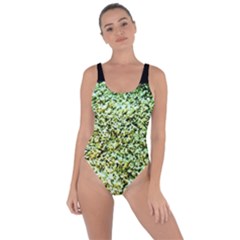 Colors And Fabrics 26 Bring Sexy Back Swimsuit by bestdesignintheworld