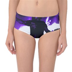Sixx Mid-waist Bikini Bottoms by StarvingArtisan