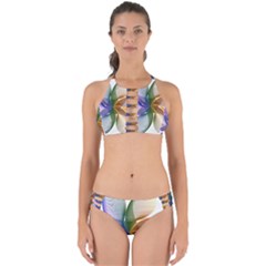 Abstract Geometric Line Art Perfectly Cut Out Bikini Set by Simbadda