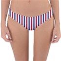 USA Flag Red White and Flag Blue Wide Stripes Reversible Hipster Bikini Bottoms View3