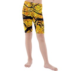 Golden Vein Kids  Mid Length Swim Shorts by FunnyCow