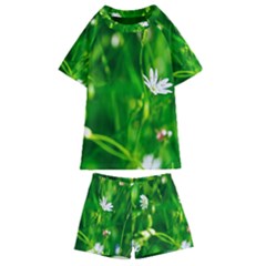 Inside The Grass Kids  Swim Tee And Shorts Set by FunnyCow