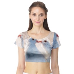 Doves In Love Short Sleeve Crop Top by FunnyCow