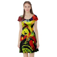 437241213103536 - Bread And Fish Short Sleeve Skater Dress by bestdesignintheworld