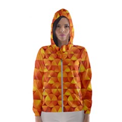 Background Triangle Circle Abstract Hooded Windbreaker (women) by Nexatart
