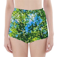 Forest   Strain Towards The Light High-waisted Bikini Bottoms by FunnyCow