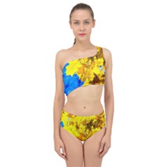 Yellow Maple Leaves Spliced Up Two Piece Swimsuit by FunnyCow