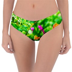 Bleeding Heart Flowers In Spring Reversible Classic Bikini Bottoms by FunnyCow