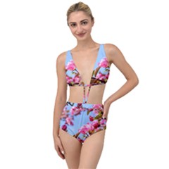Crab Apple Blossoms Tied Up Two Piece Swimsuit by FunnyCow